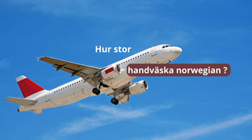 Hur stor handväska norwegian ?